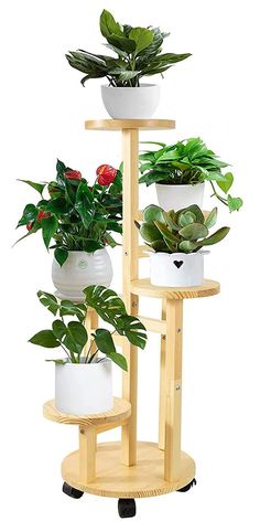 three tiered plant stand with potted plants