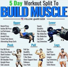 the 5 day workout split to build muscle with dumbbells and barbells