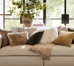 a couch with many pillows on it in front of a window and potted plant