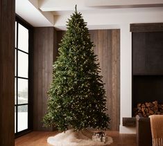 a christmas tree in a living room next to a fire place and window with wood paneling