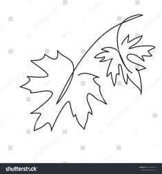 the outline of an oak leaf on a white background