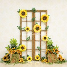 sunflowers and other flowers are arranged in front of an old window with a wooden frame