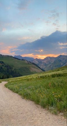 an empty dirt road in the middle of a grassy field with mountains in the background