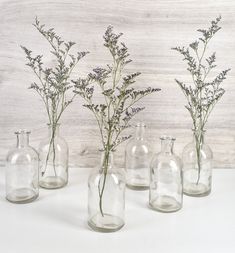 four clear glass vases with flowers in them