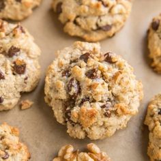 chocolate chip cookies with walnuts and pecans on a baking sheet, ready to be eaten