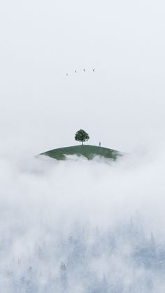 a lone tree on top of a hill in the clouds