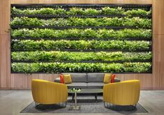 a living room with two chairs and a couch in front of a large green wall