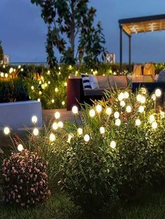 some lights that are in the grass near bushes and flowers on a patio at night