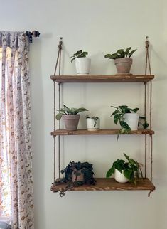 three wooden shelves with plants on them