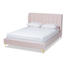 Baxton Studio Saverio Glam and Luxe Light Pink Velvet Fabric Upholstered Queen Size Platform Bed with Gold-Tone Legs FredCo Pink Headboard, Classic Channel, Studio Bed, Blue Velvet Fabric, Foam Bed, Queen Size Platform Bed, Queen Platform Bed, Bed Dimensions, Bed Lights