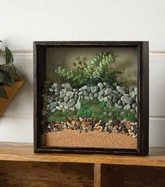 a small green plant sitting on top of a wooden shelf