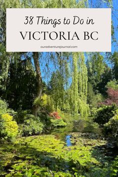 a pond surrounded by trees with text overlay that reads 3 things to do in victoria bc