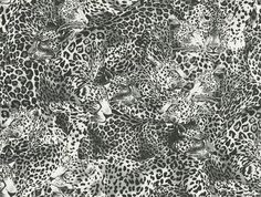 Sample Leopardo Incognito Wallpaper in Alessandra Leopard Print Wallpaper, Wallpaper Textured, Embossed Wallpaper, Strong Personality, 1% Wallpaper, The Leopard, Dolce E Gabbana, Burke Decor, Print Wallpaper