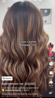 Classic Caramel Balayage, Long Layers Brunette Hair, Warm Caramel Balayage Brunettes, Pretty Highlights, Highlights Brown Hair Balayage, Balayage Hair Caramel, Highlight Ideas, Black Hair Balayage, Brown Hair Looks