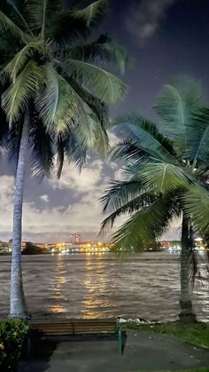 two palm trees are next to the water at night with city lights in the background