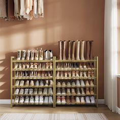 there are many pairs of shoes on the shelves