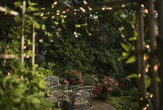 an outdoor patio with chairs and table surrounded by greenery, bushes and red flowers