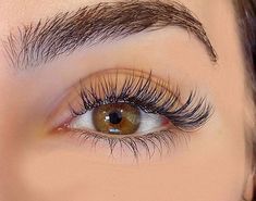 Light Natural Eyelash Extensions, False Eyelash Styles, Short Eye Lash Extensions, Natural Looking Individual Lashes, Lash Extensions For Protruding Eyes, Natural Full Eyelash Extensions, Princess Eyelash Extensions, Lash Extensions For Deep Set Eyes, Natural Eyelash Extensions Before And After