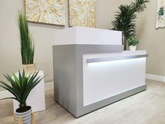 a white reception desk with two plants on it