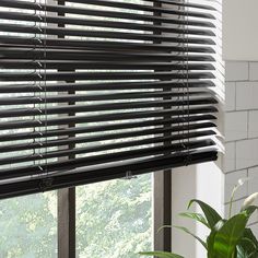 a window with black blinds and a potted plant