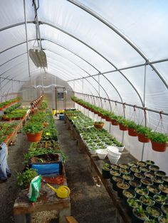 an indoor greenhouse filled with lots of potted plants