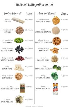 Protein Cupcakes, Plant Based Protein Sources, Plant Based Diet Recipes, Protein Muffins, Protein Desserts