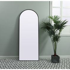 a tall mirror next to a potted plant on a tiled floor in an empty room