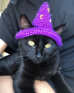 a black cat wearing a purple crochet witches hat on its owner's lap