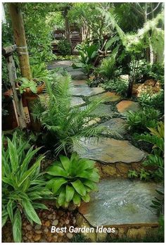 a garden with lots of green plants and rocks on the ground, surrounded by greenery