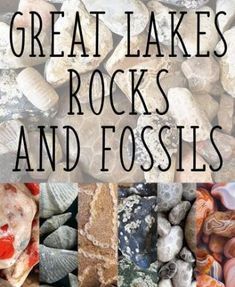 there are many different rocks and fossiles in this photo with the words great lakes, rocks and fosss