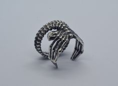 a silver ring with an animal's head in the middle and claws on it