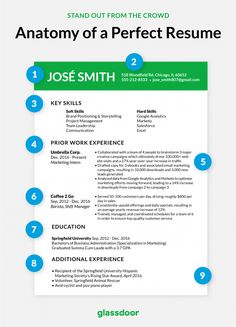 a professional resume template with blue and green accents on the front, and four steps to write