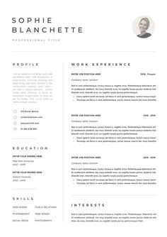 a professional resume template with no work experience