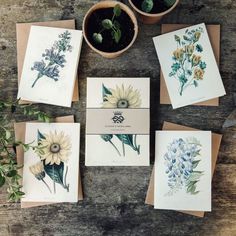 four cards with flowers on them sitting next to two potted plants and one plant