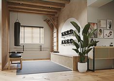 a living room with wood floors and white walls, including a large potted plant