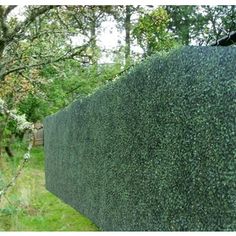 a large green hedge next to a tree