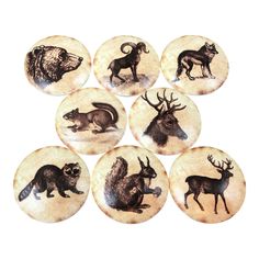 six buttons with animals on them are shown