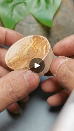 a person holding a wooden object in their hand with leaves on the other side of it