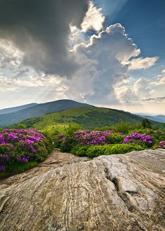 the sun shines brightly over a rocky landscape with wildflowers and mountains in the background