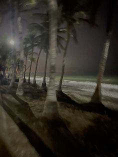 a blurry photo of palm trees on the beach at night