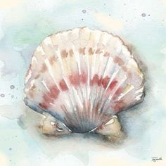 Watercolor Shells VI Poster Print by Tre Sorelle Studios Image 1 Watercolor Shells, Seashell Illustration, Art Plage, Seashell Painting, Painted Shells, Shell Art, Fine Arts Posters, Art Watercolor, Beach Art