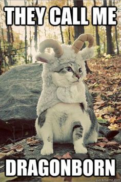 a stuffed animal sitting on top of a rock in the woods