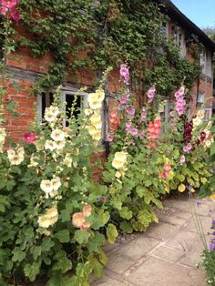 an old brick building with many flowers growing on it