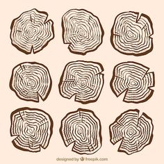 different types of tree rings drawn by hand