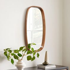 a mirror on the wall above a table with a potted plant next to it