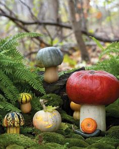 an article about mushrooms and other plants in the woods with caption that reads, enchanted forest