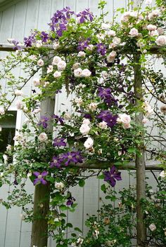 an old wooden trellis with white and purple flowers hanging from it's sides