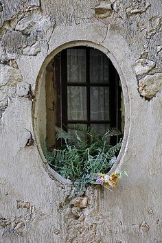 a window in the side of a stone building with plants growing out of it's windowsill