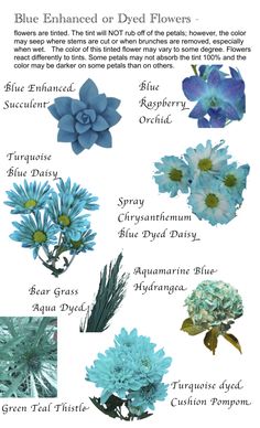 blue flowers and their meanings are shown in this graphic guide for the different types of flowers