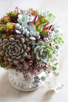 a vase filled with lots of succulents on top of a table